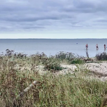 Holiday home Ferienhaus-zwischen-wald-und-meer-mit-sauna-und-kamin Abjerg